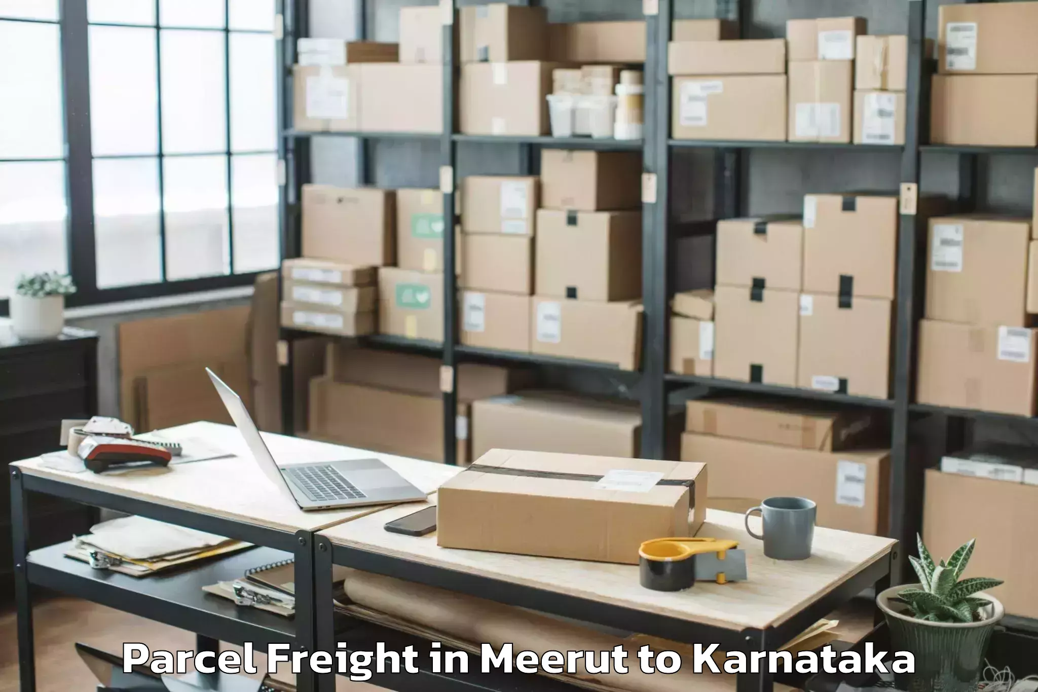 Top Meerut to Davangere University Davangere Parcel Freight Available